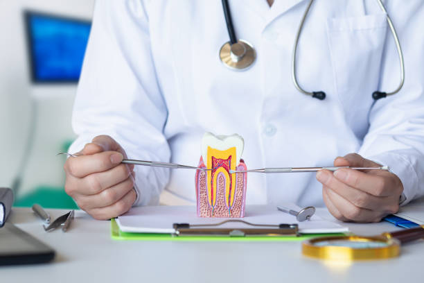 Best Weekend Emergency Dentist in Lockport, LA